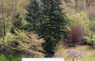 Ferienhaus Münzberg - Foto 14