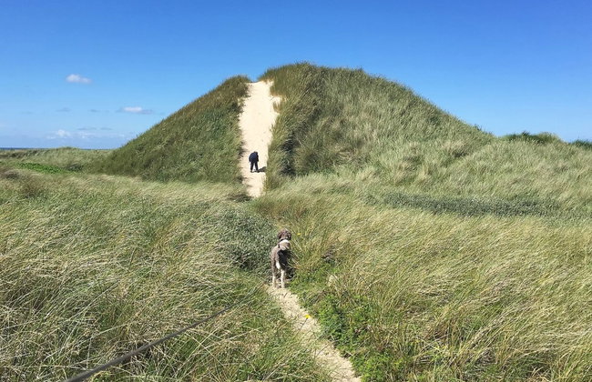 "Gerulf" - 600m from the sea - Foto 21