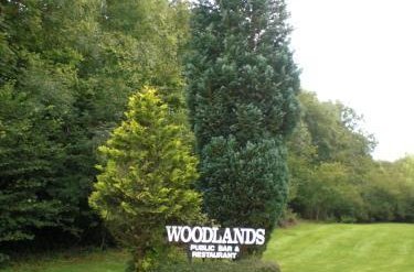 Foto 19 - Woodlands Hotel & Pine Lodges