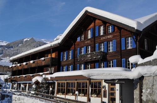Foto 20 - Apartment Jungfrau Lodge