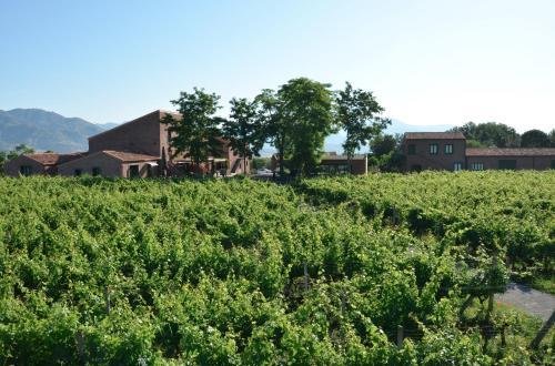 Photo 30 - Firriato Hospitality Cavanera Etnea Resort & Wine Experience