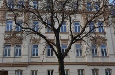 Foto 40 - 4 Beds and More Vienna Apartments - Contactless check-in