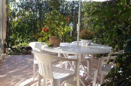 Photo 3 - Apartment in Mougins with garden and garden view