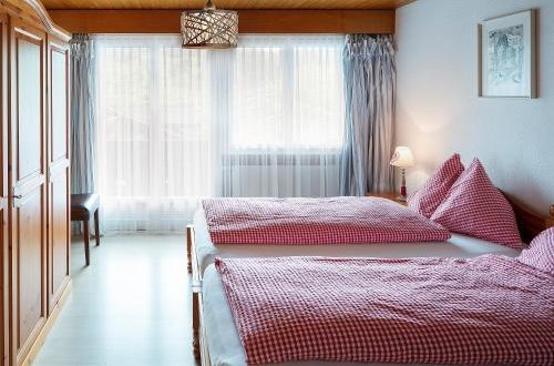 Foto 9 - Apartment Jungfrau Lodge