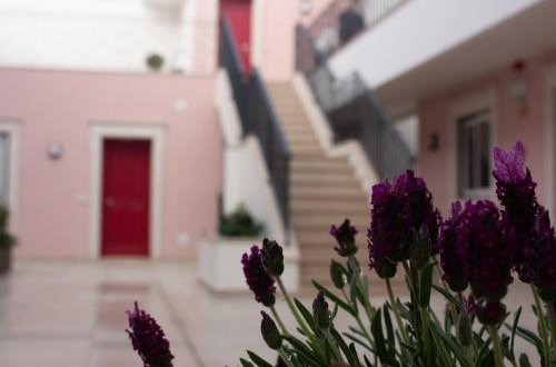 Photo 48 - Aparthotel in Faro with garden and garden view