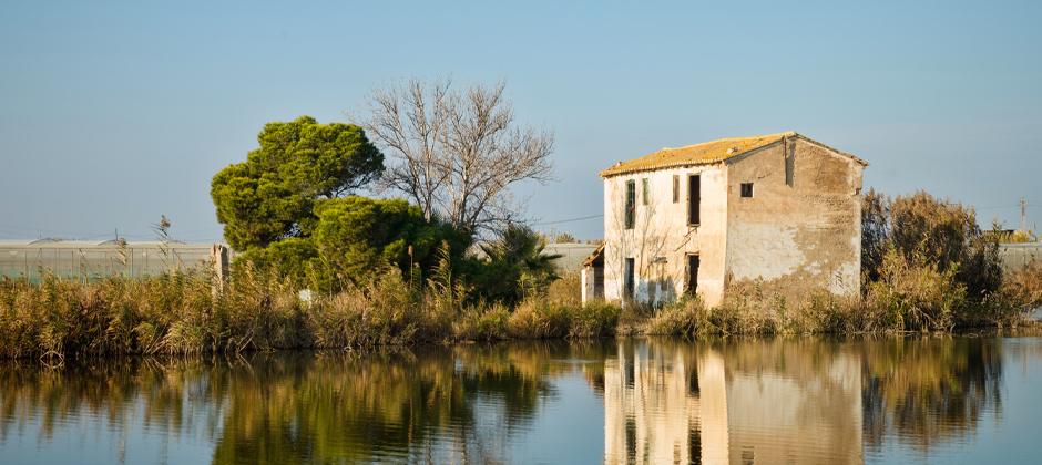 ONLY-Parque Natural de la Albufera.jpg
